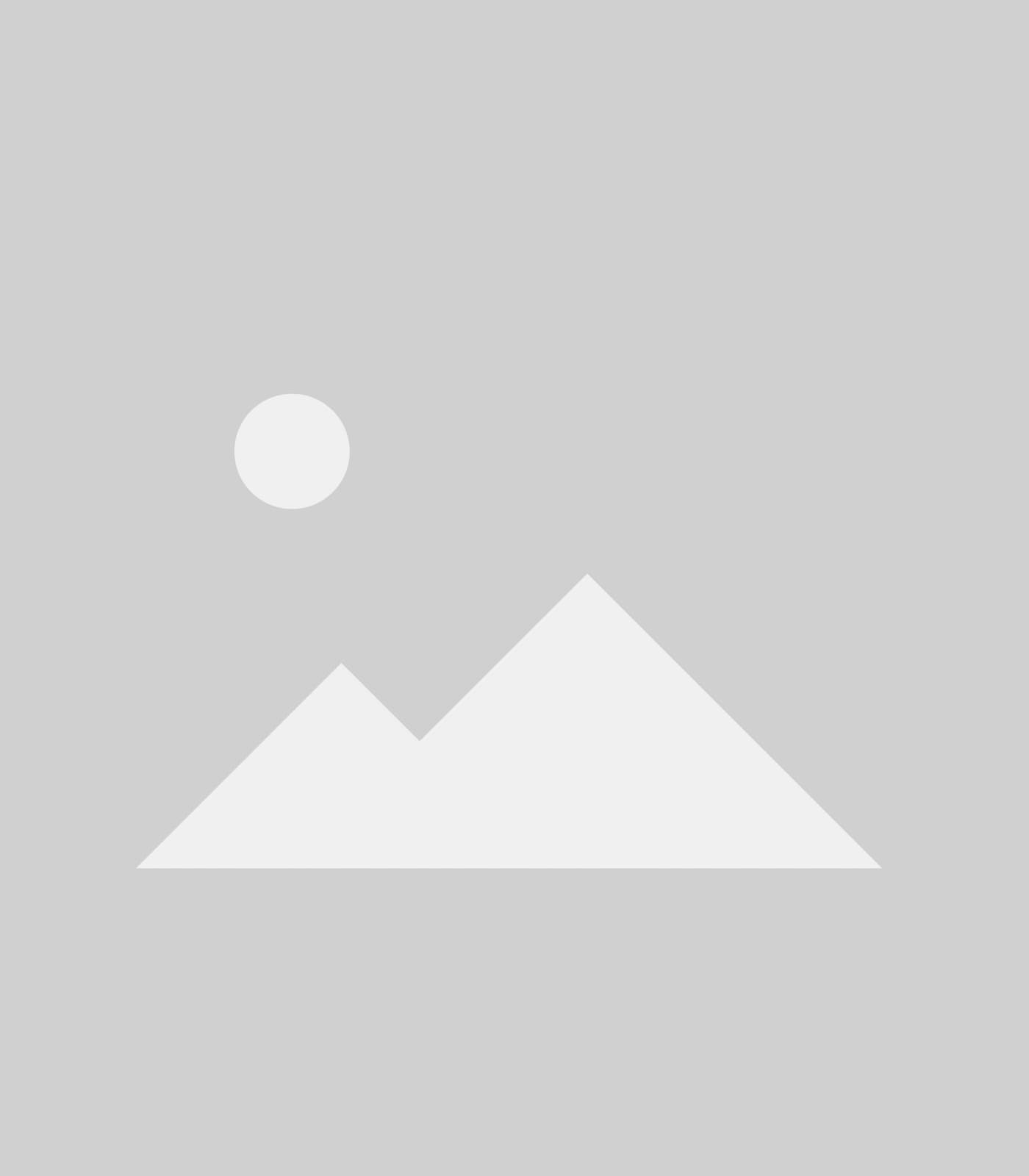 Sudarshan Security Services - Professional Security